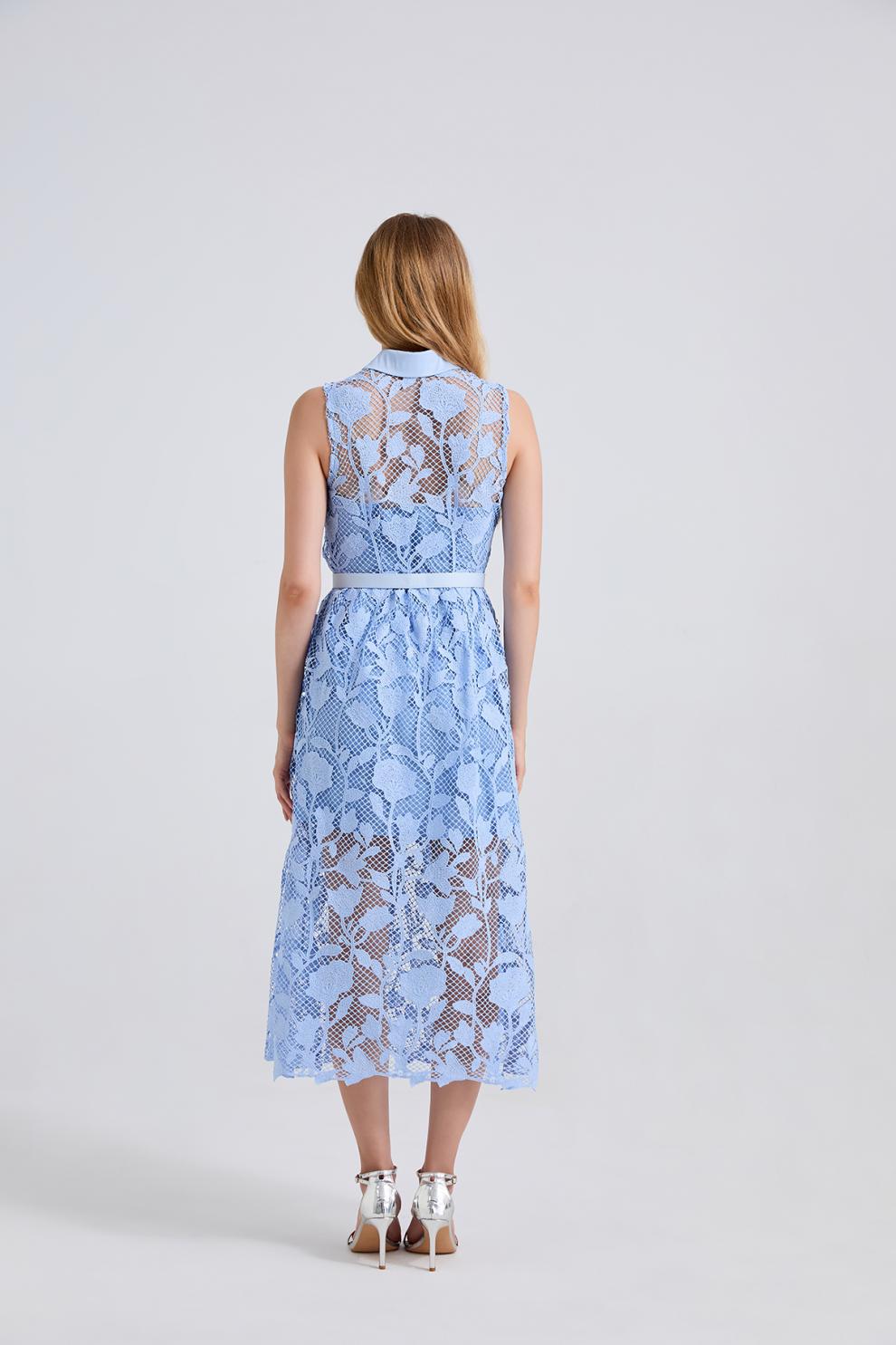 Lisandra Midi Elbise