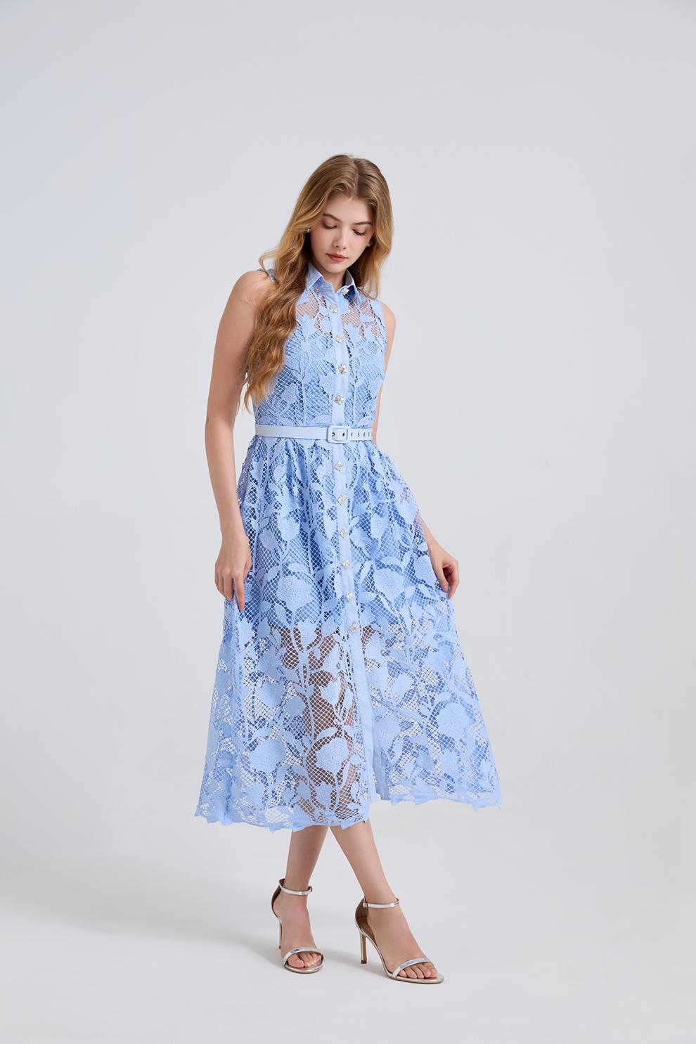 Lisandra Midi Elbise